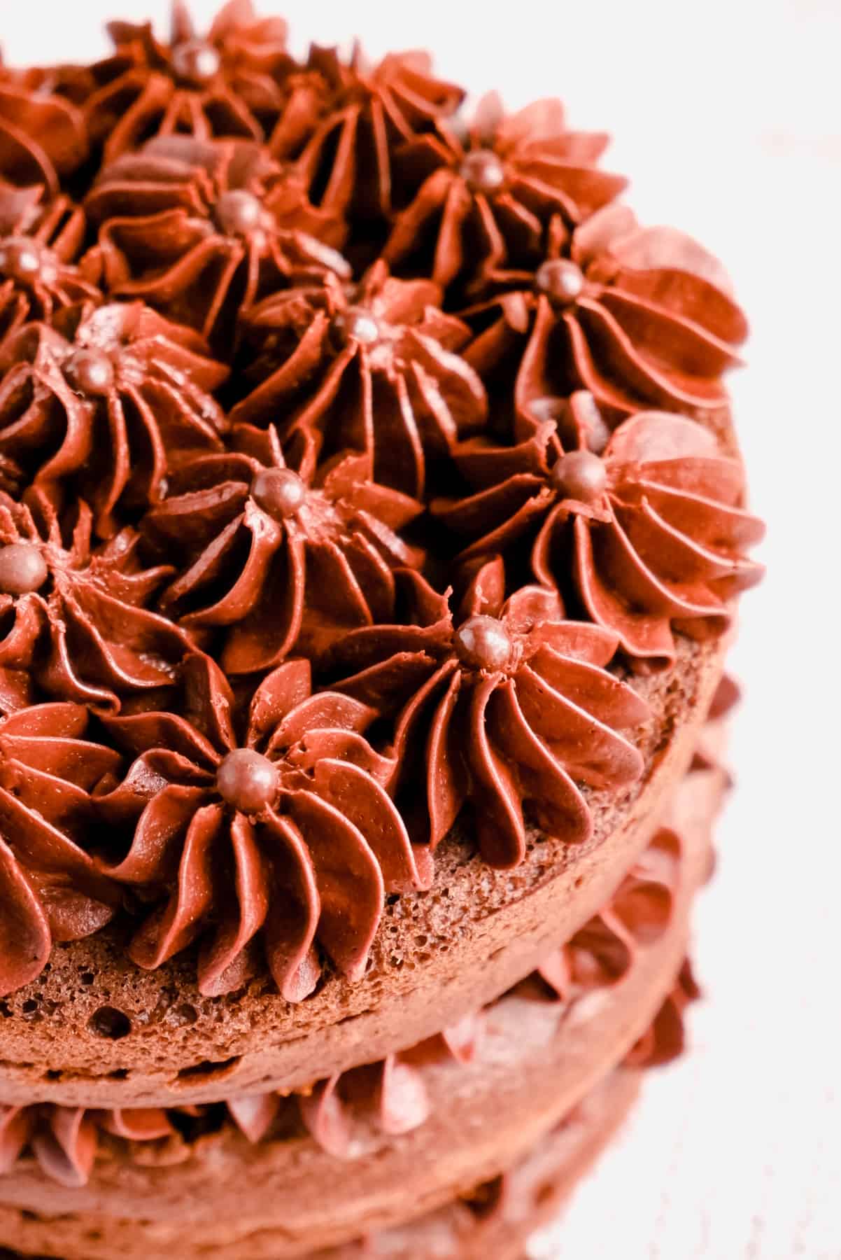 chocolate cake layers filled and topped with chocolate buttercream frosting