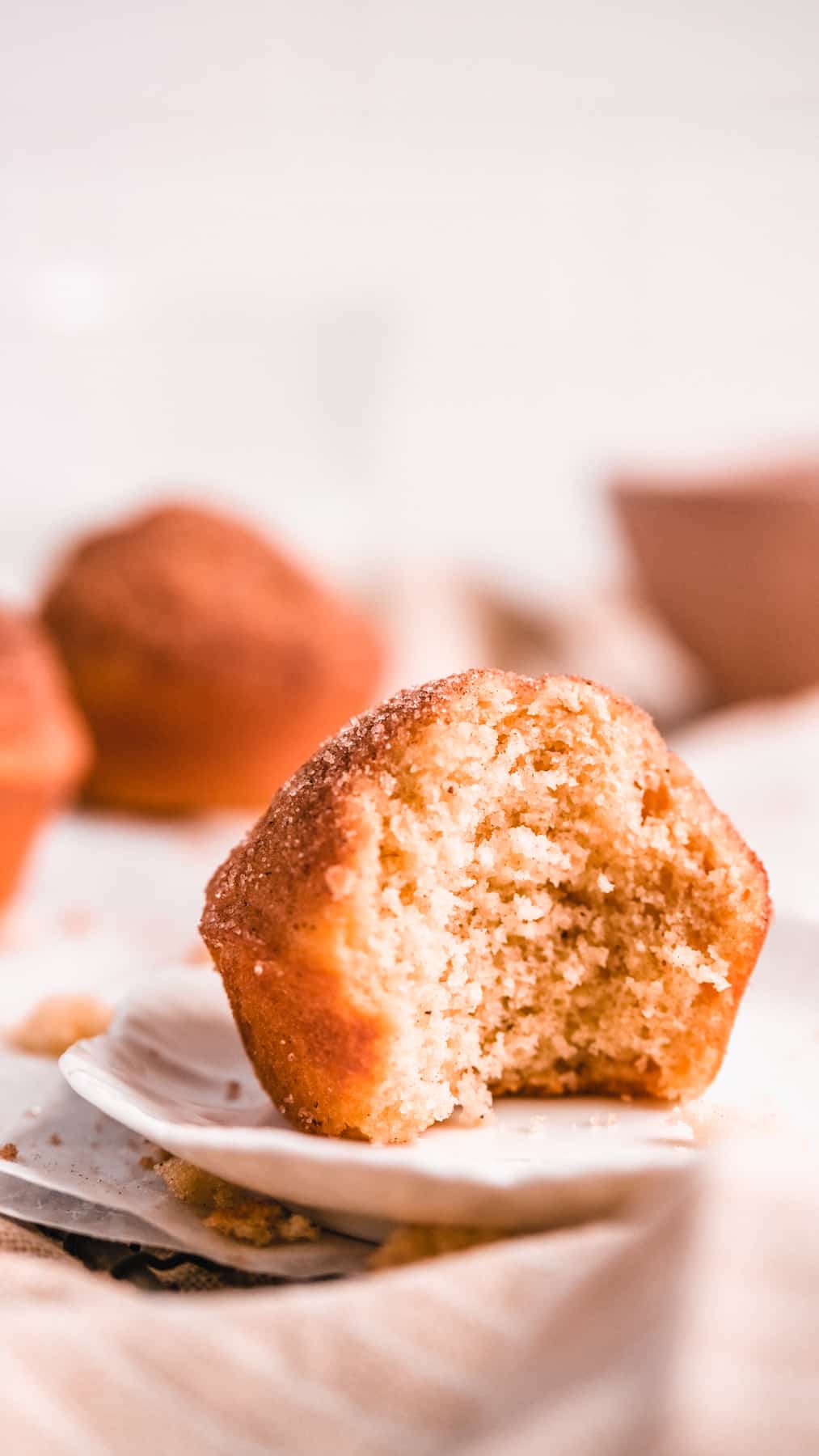 Cinnamon Donut Muffins on a plate with a bite out of it