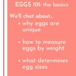 Eggs 101 Baking Tutorial Pinterest Graphic