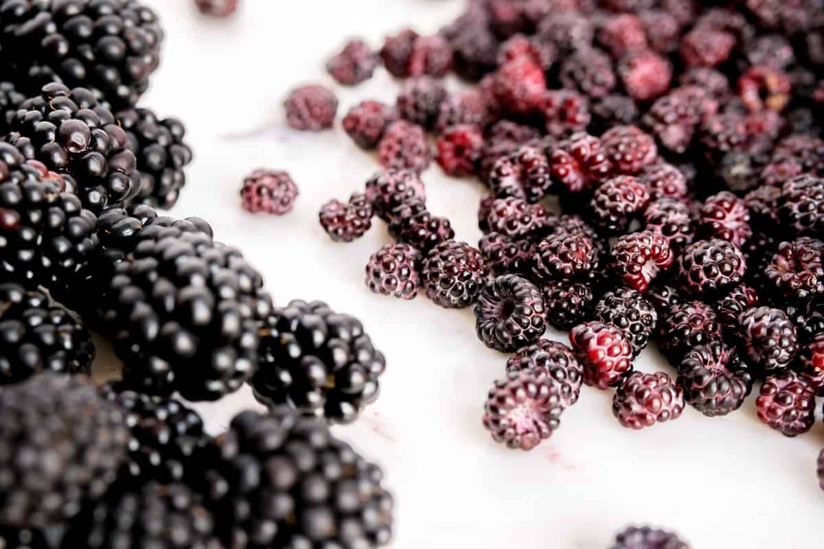 a white table with a pile of blackberries and a pile of black raspberries on it.