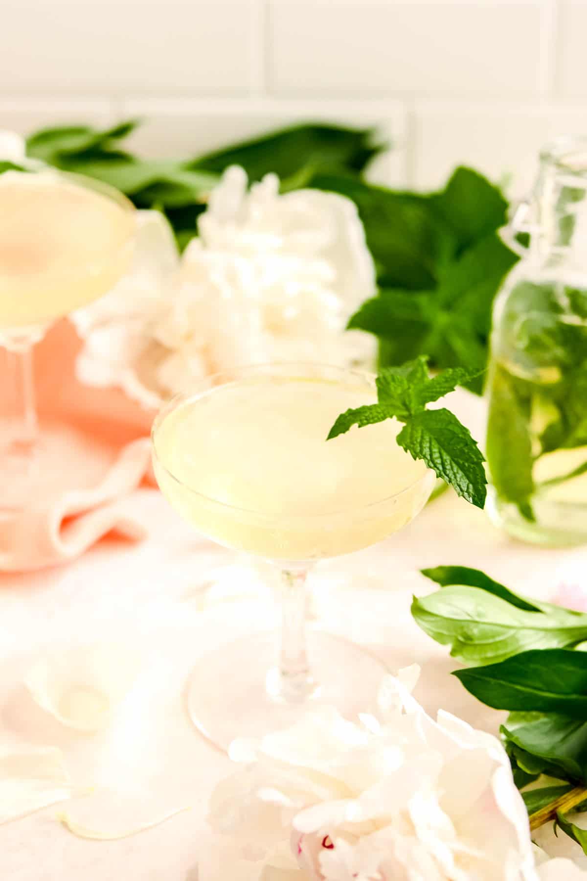 two coupe cocktail glasses from the side with a mint sprig in them and flowers on the table with a mint syrup bottle in the background.