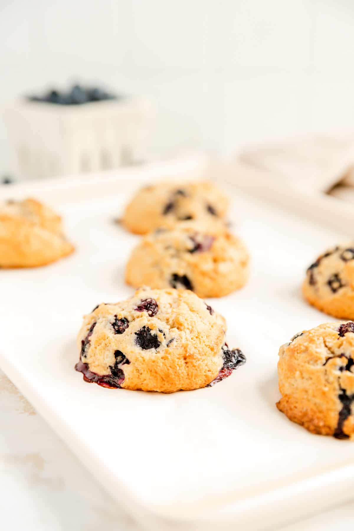 a white baking tray of freshly baked scones with a blueberry container in the background