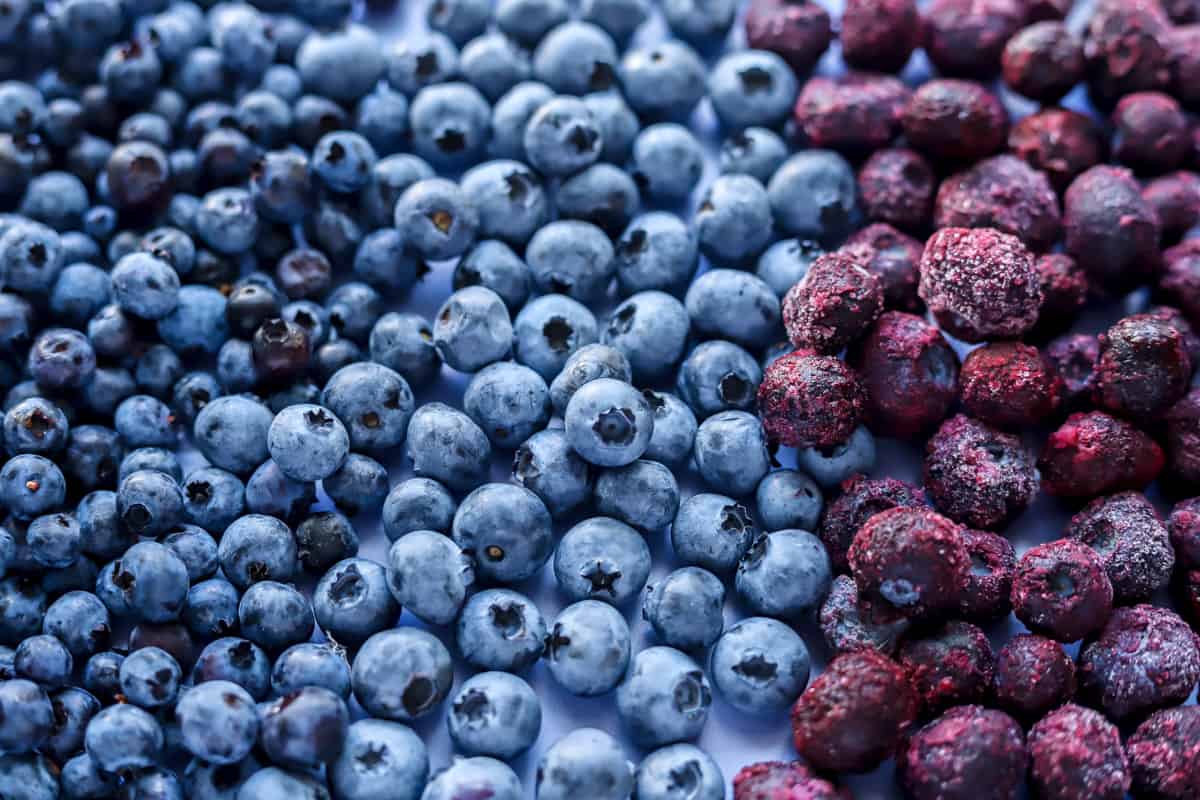 close up of wild fresh and frozen blueberries all spread on a purple backdrop