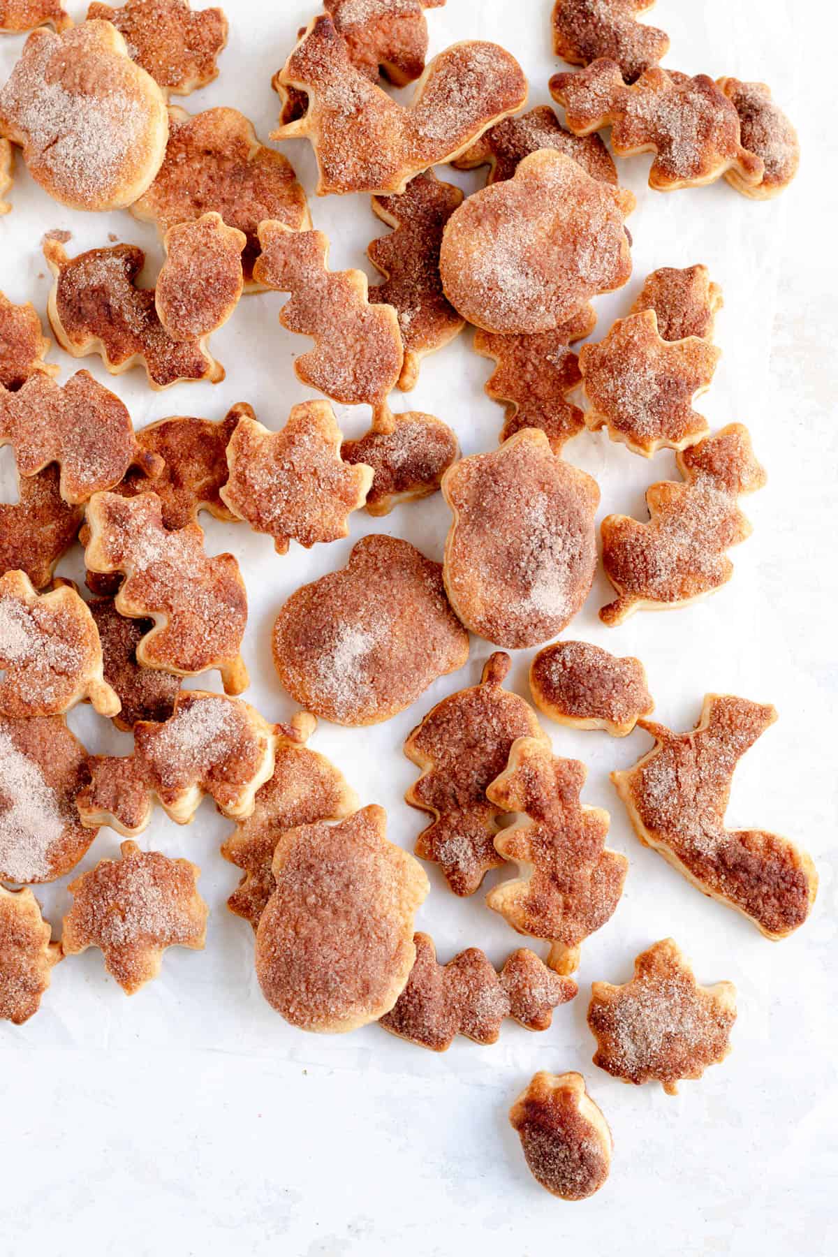 a rectangular stack of leaf squirrel and acorn pie dough cookies with cinnamon