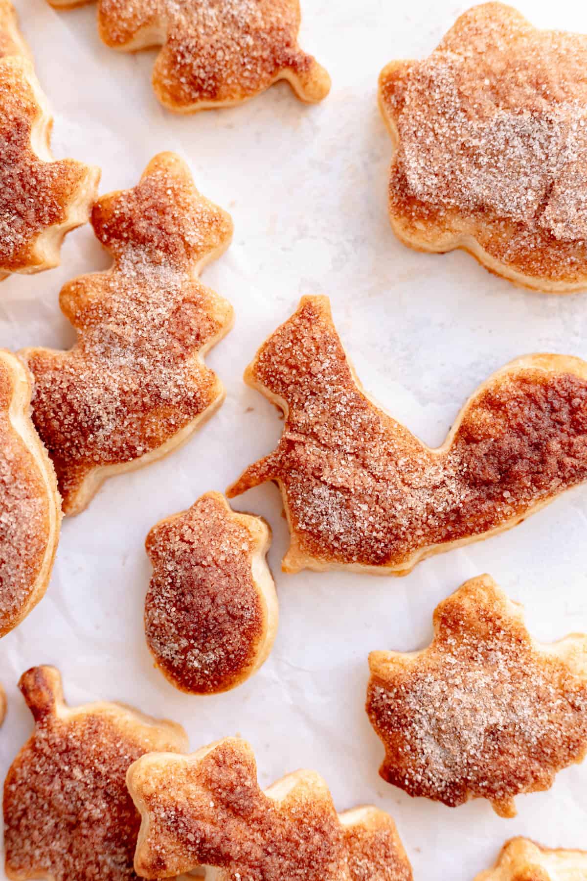 a squirrel and acorn pie dough cookie with cinnamon and sugar on top surrounded by cookies