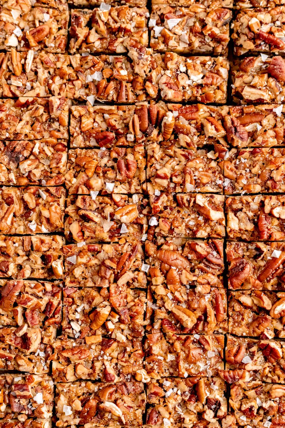 close up of sliced salted pecan pie bars.