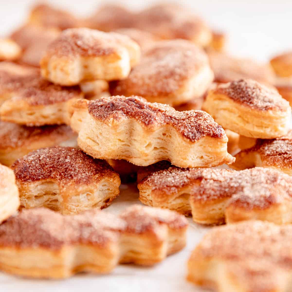 https://mintandmallowkitchen.com/wp-content/uploads/2021/10/cinnamon-pie-dough-cookies.jpg