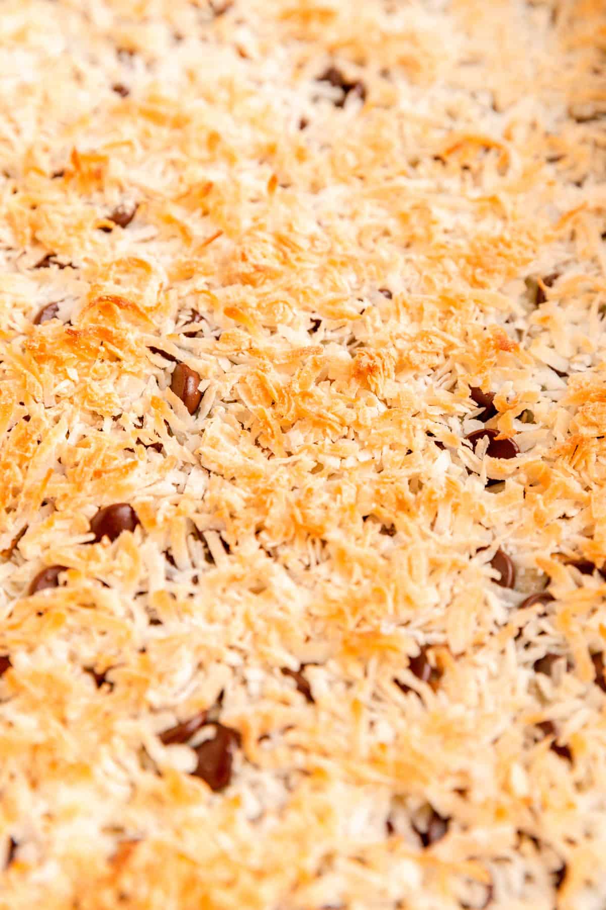 Close up of toasted coconut with chocolate chips peeking through from seven layer bars
