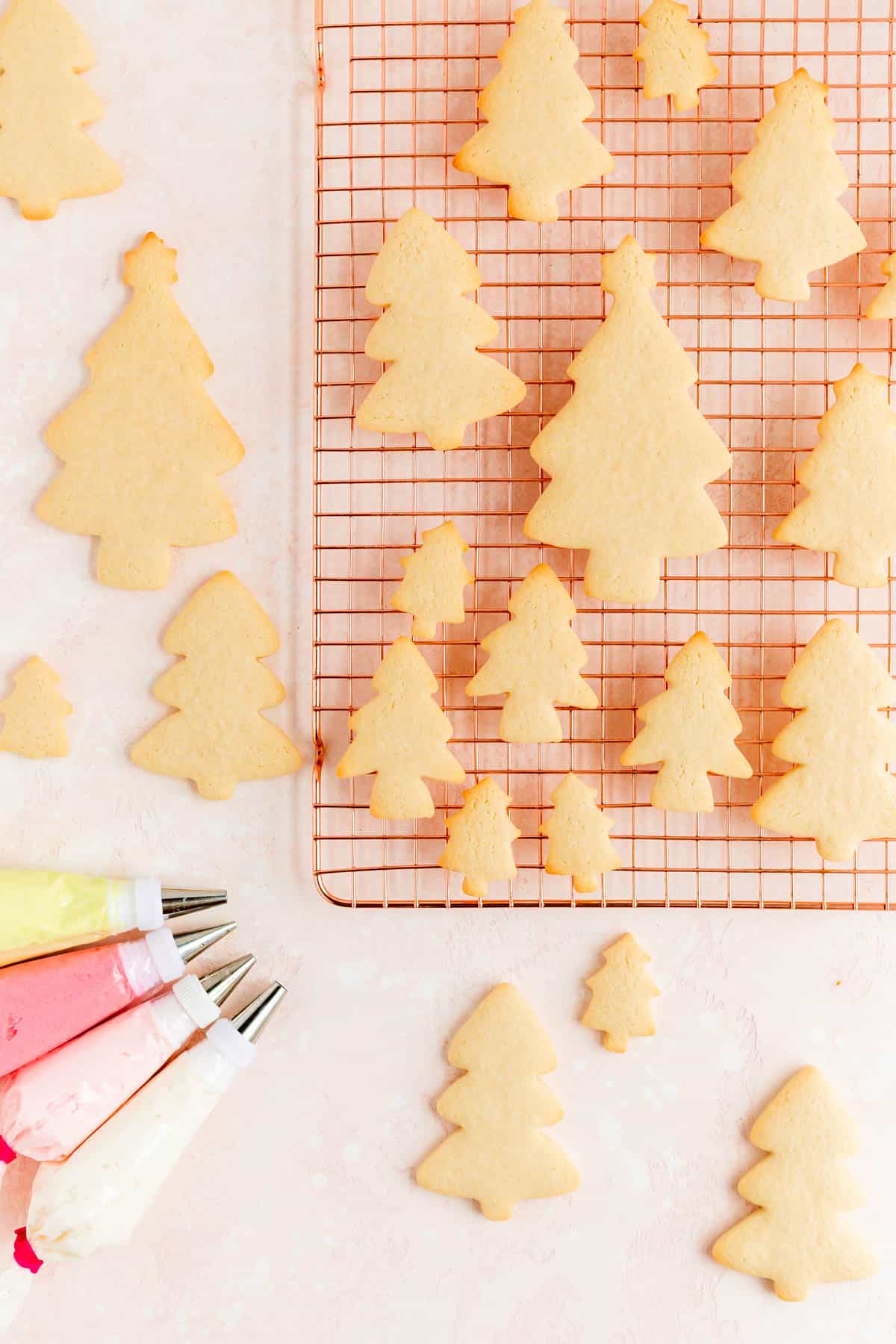 Baked Christmas tree sugar cookies are cooling rack with colored frosting bags