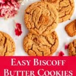 easy biscoff butter cookies pin graphic.