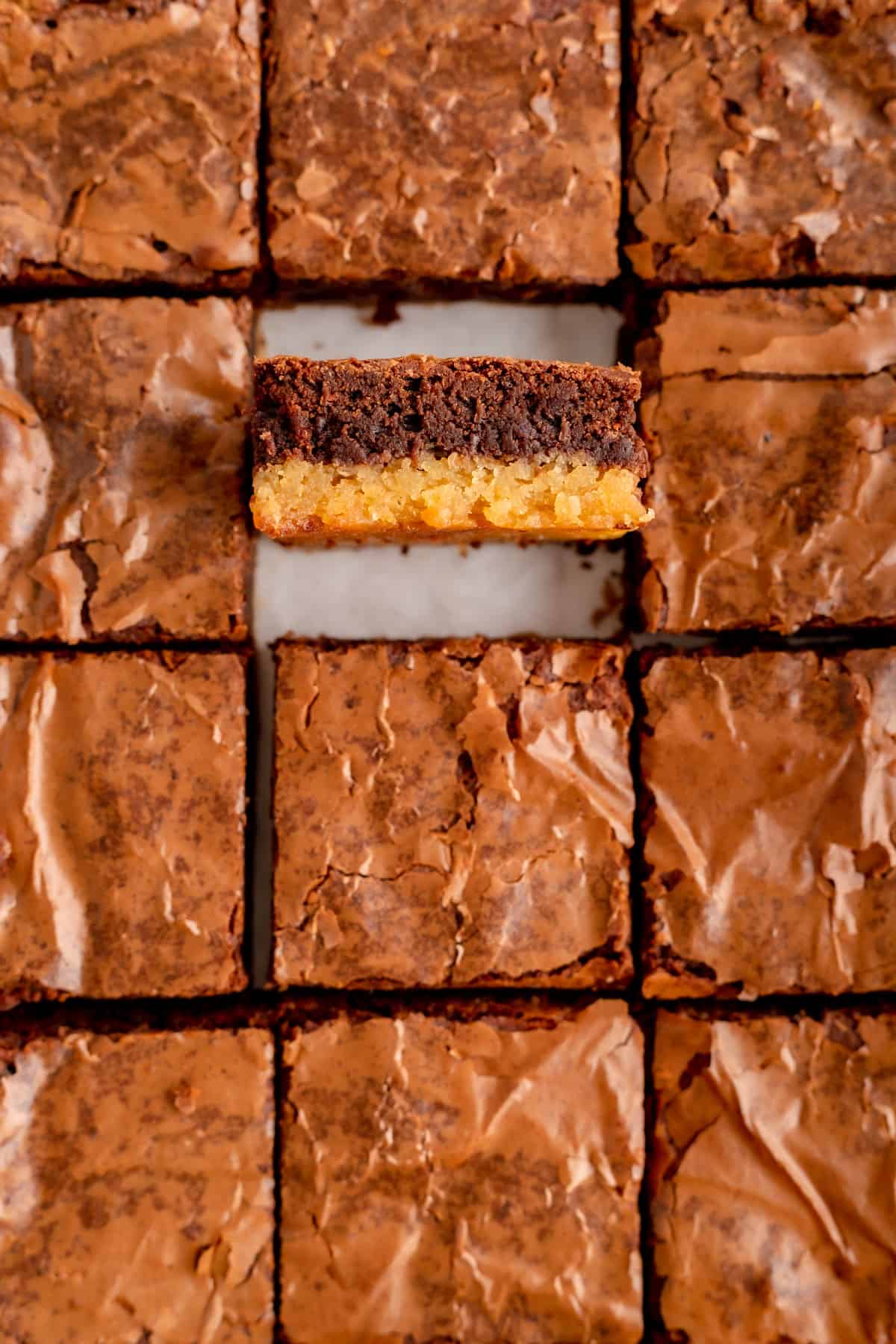A close-up of square brownies with one on its side showing two layers.