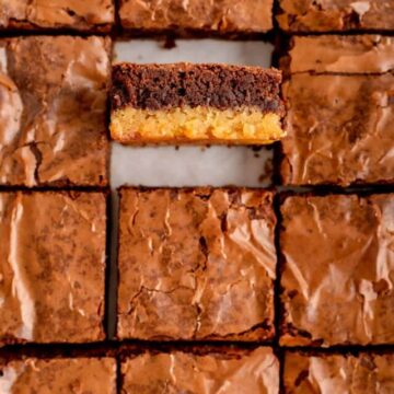 A close-up of square brownies with one on its side showing two layers.