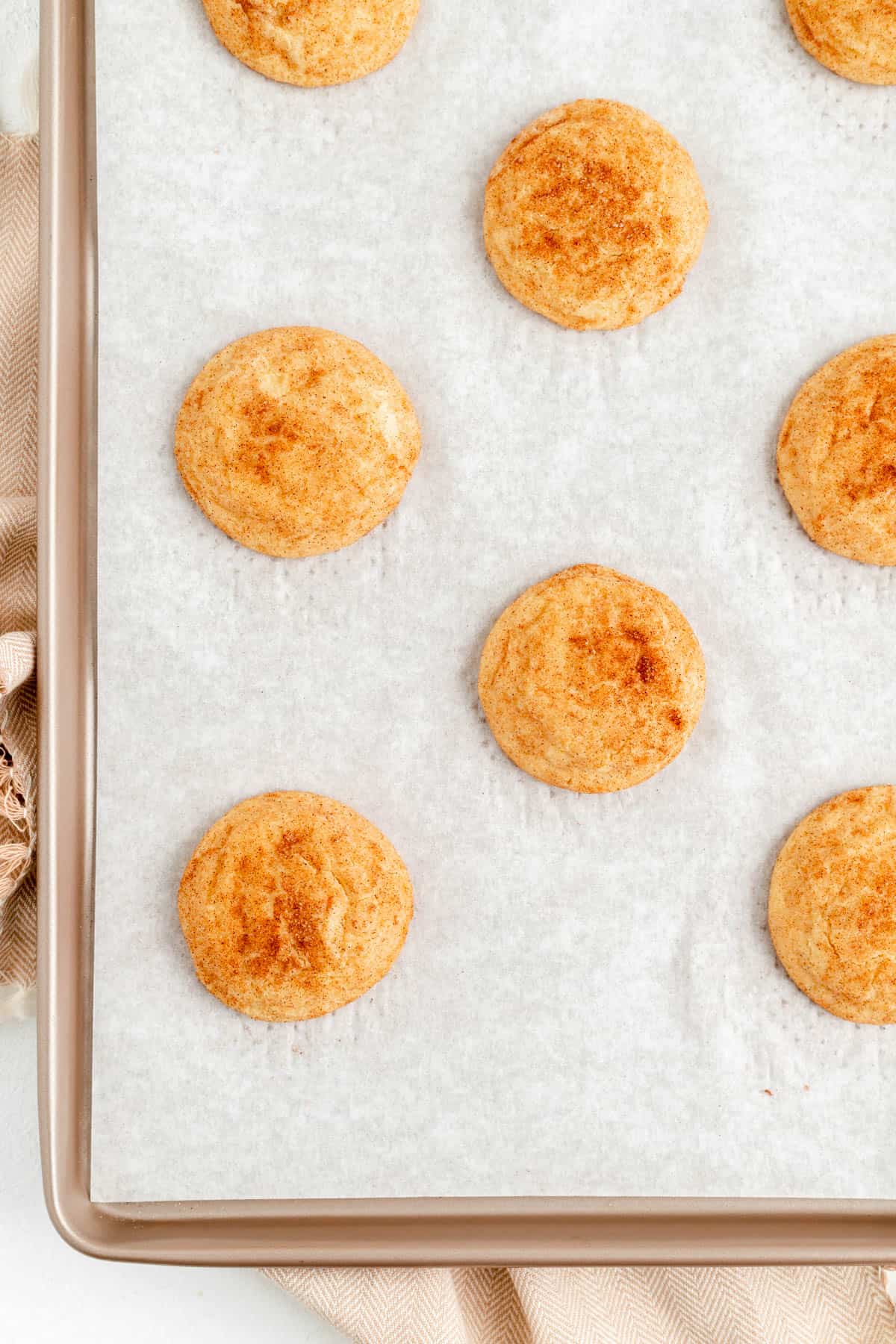 snickerdoodles baked on a parchment lined gold baking sheet.