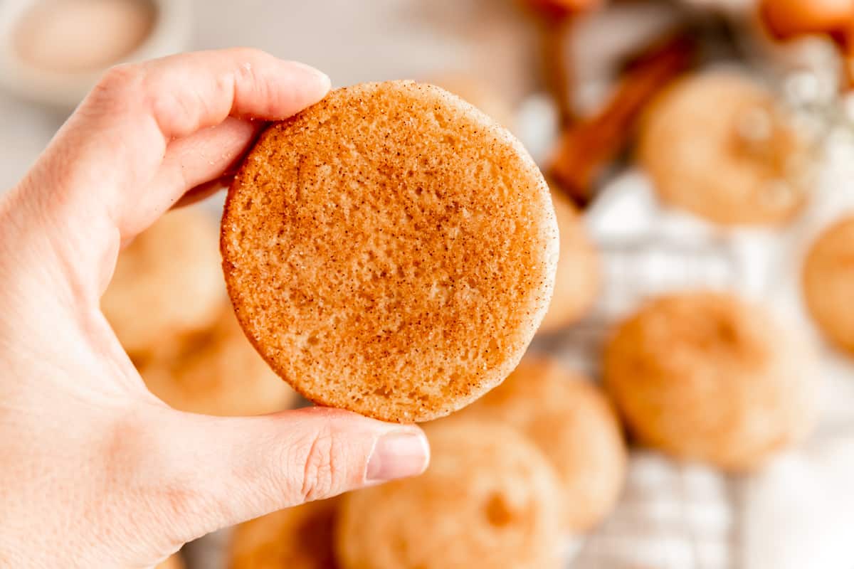a hand holding the bottom side of a snickerdoodle cookie up to the camera.