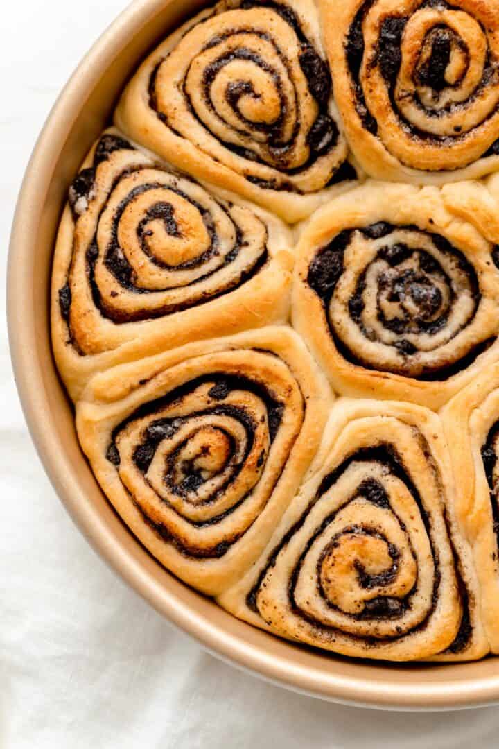 Convection Bake vs. Bake Settings what's the difference? Mint + Mallow