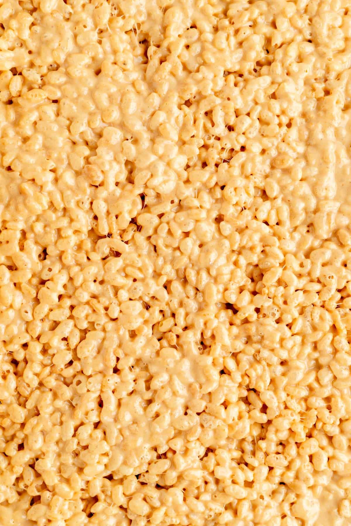 Close up of rice cereal covered in melted peanut butter and marshmallows.