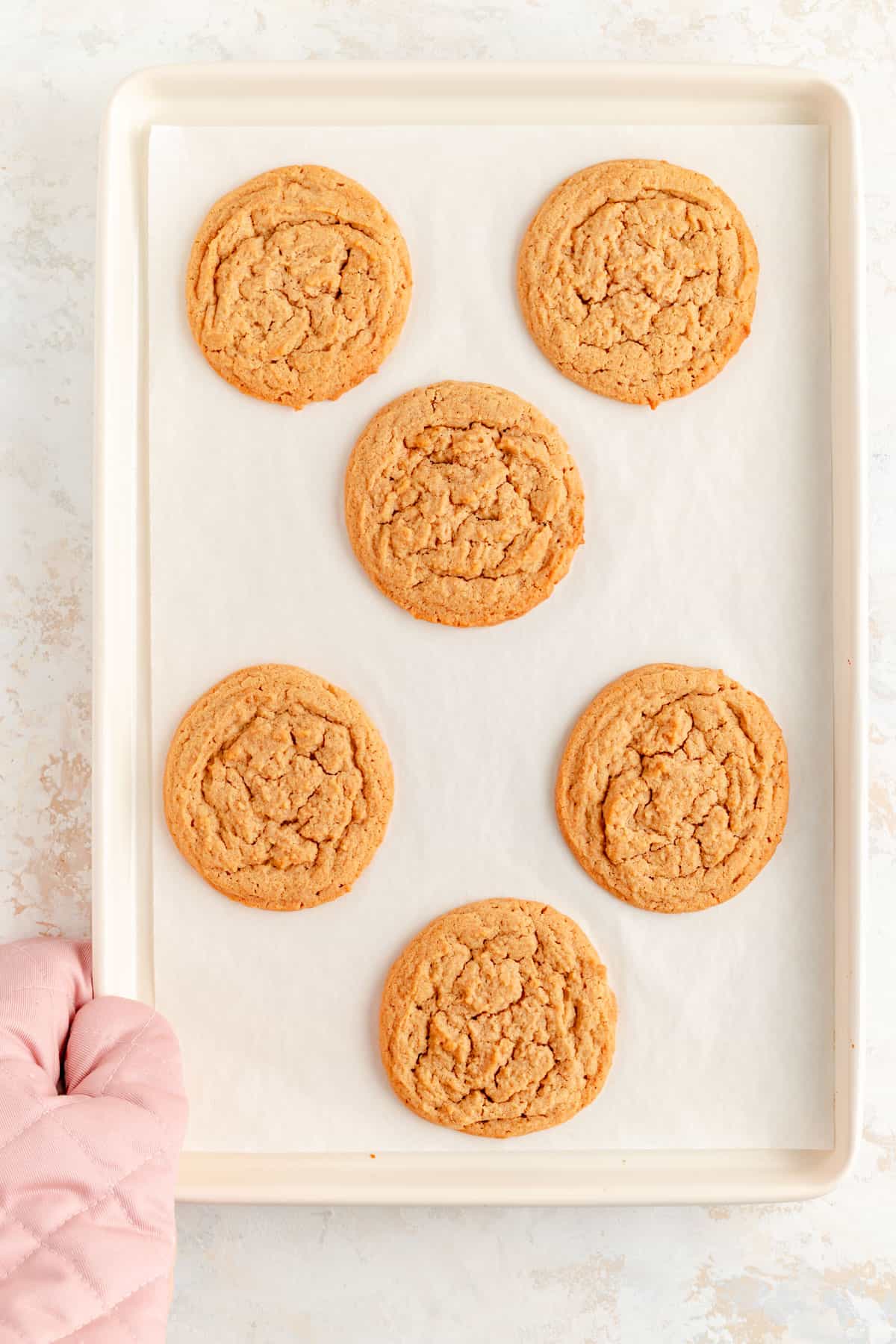 six plain baked peanut butter cookies spaced on a lined white baking sheet.