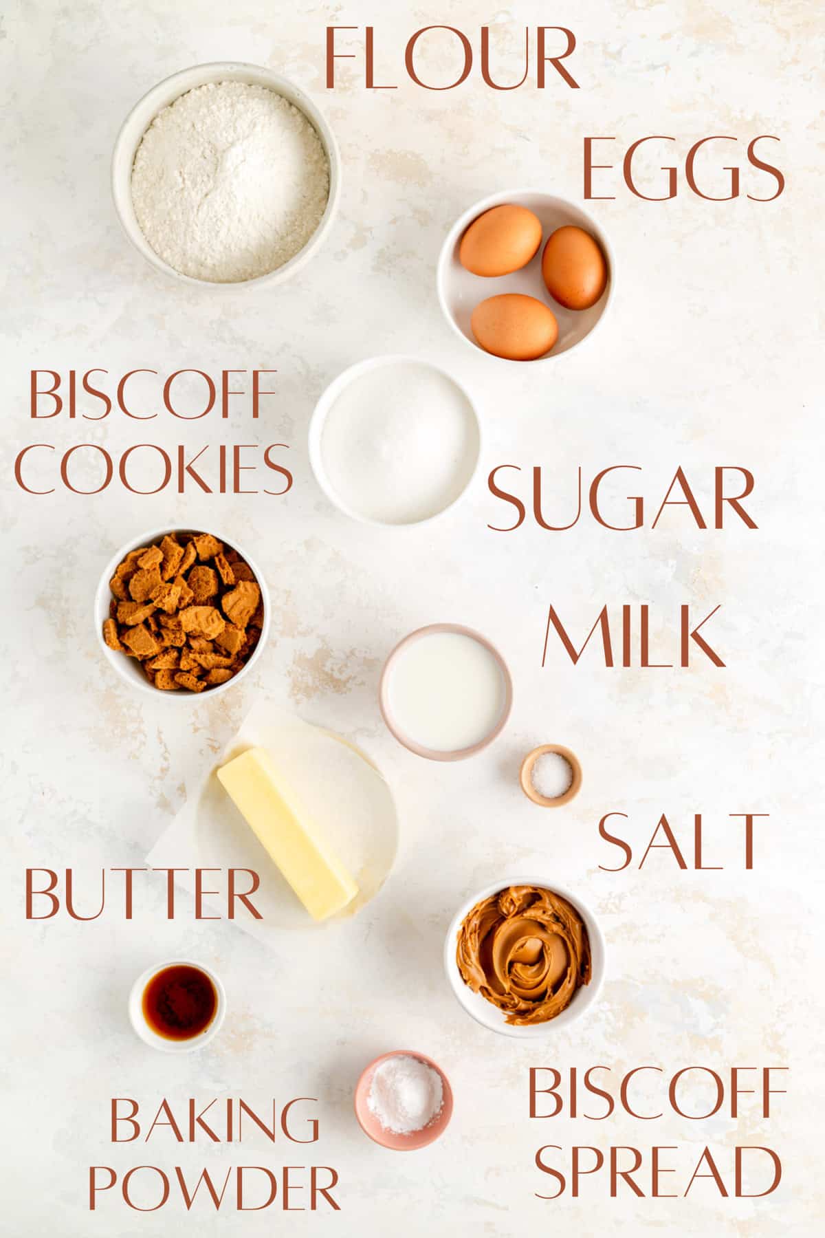 Flour, eggs, Biscoff cookies, sugar, milk, salt, butter, Biscoff spread, and baking powder in separate bowls.